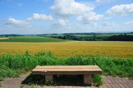 Chair at golden wheat in the field with beautiful blue sky and many trees, Furano, Biei, Hokkaido, Japan. Poster.の写真素材