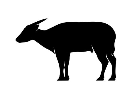 Anoa animal vector silhouetteのイラスト素材