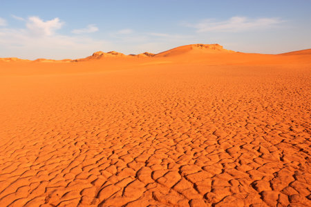 The desert landscape, a realm of arid beauty, unfolds as a vast and timeless tapestry of muted colors, undulating dunes, and dramatic vistas. Nature's resilient spirit is on display in this seemingly harsh environment, where the scarcity of water has shaped a unique and captivating terrain.の素材