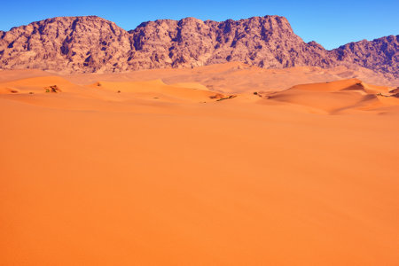 The desert landscape, a realm of arid beauty, unfolds as a vast and timeless tapestry of muted colors, undulating dunes, and dramatic vistas. Nature's resilient spirit is on display in this seemingly harsh environment, where the scarcity of water has shaped a unique and captivating terrain.の素材