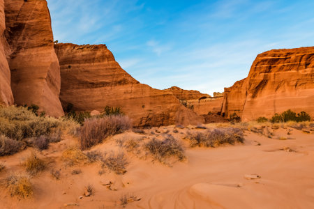 The desert landscape, a realm of arid beauty, unfolds as a vast and timeless tapestry of muted colors, undulating dunes, and dramatic vistas. Nature's resilient spirit is on display in this seemingly harsh environment, where the scarcity of water has shaped a unique and captivating terrain.の素材
