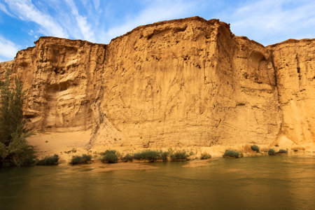 The desert landscape, a realm of arid beauty, unfolds as a vast and timeless tapestry of muted colors, undulating dunes, and dramatic vistas. Nature's resilient spirit is on display in this seemingly harsh environment, where the scarcity of water has shaped a unique and captivating terrain.の素材
