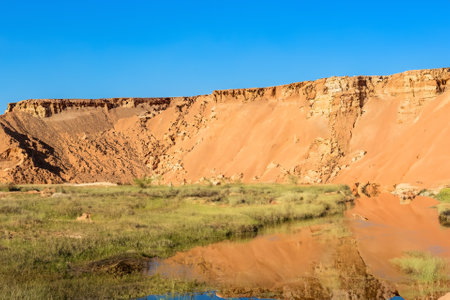 The desert landscape, a realm of arid beauty, unfolds as a vast and timeless tapestry of muted colors, undulating dunes, and dramatic vistas. Nature's resilient spirit is on display in this seemingly harsh environment, where the scarcity of water has shaped a unique and captivating terrain.の素材
