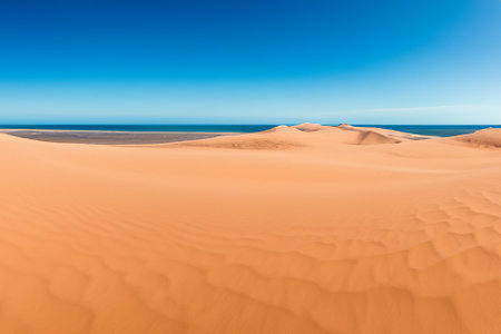 The desert landscape, a realm of arid beauty, unfolds as a vast and timeless tapestry of muted colors, undulating dunes, and dramatic vistas. Nature's resilient spirit is on display in this seemingly harsh environment, where the scarcity of water has shaped a unique and captivating terrain.の素材