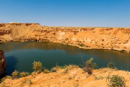 The desert landscape, a realm of arid beauty, unfolds as a vast and timeless tapestry of muted colors, undulating dunes, and dramatic vistas. Nature's resilient spirit is on display in this seemingly harsh environment, where the scarcity of water has shaped a unique and captivating terrain.の素材