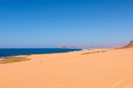 The desert landscape, a realm of arid beauty, unfolds as a vast and timeless tapestry of muted colors, undulating dunes, and dramatic vistas. Nature's resilient spirit is on display in this seemingly harsh environment, where the scarcity of water has shaped a unique and captivating terrain.の素材