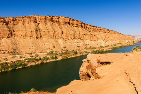 The desert landscape, a realm of arid beauty, unfolds as a vast and timeless tapestry of muted colors, undulating dunes, and dramatic vistas. Nature's resilient spirit is on display in this seemingly harsh environment, where the scarcity of water has shaped a unique and captivating terrain.の素材