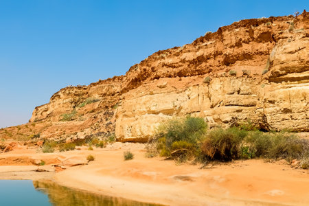 The desert landscape, a realm of arid beauty, unfolds as a vast and timeless tapestry of muted colors, undulating dunes, and dramatic vistas. Nature's resilient spirit is on display in this seemingly harsh environment, where the scarcity of water has shaped a unique and captivating terrain.の素材
