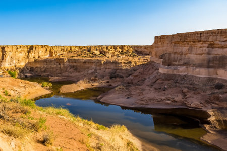 The desert landscape, a realm of arid beauty, unfolds as a vast and timeless tapestry of muted colors, undulating dunes, and dramatic vistas. Nature's resilient spirit is on display in this seemingly harsh environment, where the scarcity of water has shaped a unique and captivating terrain.の素材