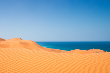 The desert landscape, a realm of arid beauty, unfolds as a vast and timeless tapestry of muted colors, undulating dunes, and dramatic vistas. Nature's resilient spirit is on display in this seemingly harsh environment, where the scarcity of water has shaped a unique and captivating terrain.の素材