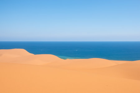 The desert landscape, a realm of arid beauty, unfolds as a vast and timeless tapestry of muted colors, undulating dunes, and dramatic vistas. Nature's resilient spirit is on display in this seemingly harsh environment, where the scarcity of water has shaped a unique and captivating terrain.の素材