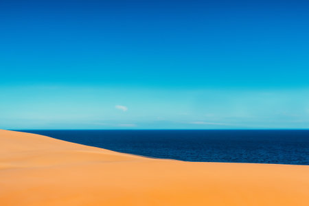 The desert landscape, a realm of arid beauty, unfolds as a vast and timeless tapestry of muted colors, undulating dunes, and dramatic vistas. Nature's resilient spirit is on display in this seemingly harsh environment, where the scarcity of water has shaped a unique and captivating terrain.の素材