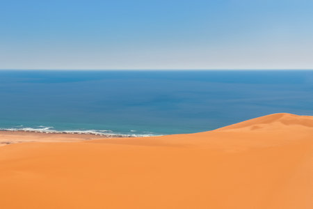 The desert landscape, a realm of arid beauty, unfolds as a vast and timeless tapestry of muted colors, undulating dunes, and dramatic vistas. Nature's resilient spirit is on display in this seemingly harsh environment, where the scarcity of water has shaped a unique and captivating terrain.の素材