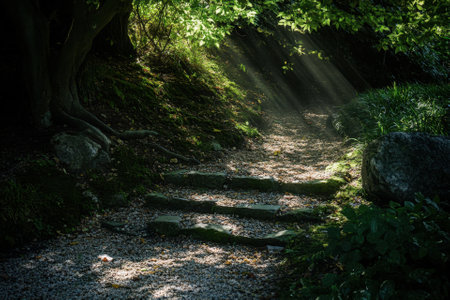 Sunbeams illuminate a stone path in a green forest.の素材