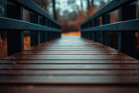 Wooden bridge leading to a forest.の素材