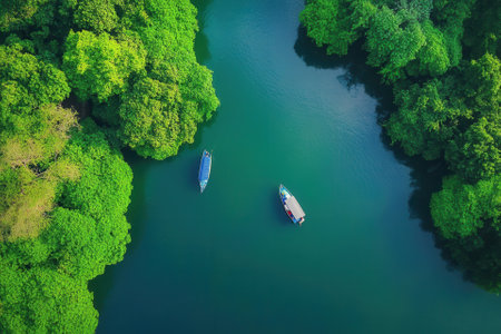 Aerial view of two boats on a calm river surrounded by lush green rainforest.の素材