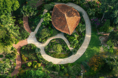 Aerial view of a tropical garden with a unique pavilion.の素材
