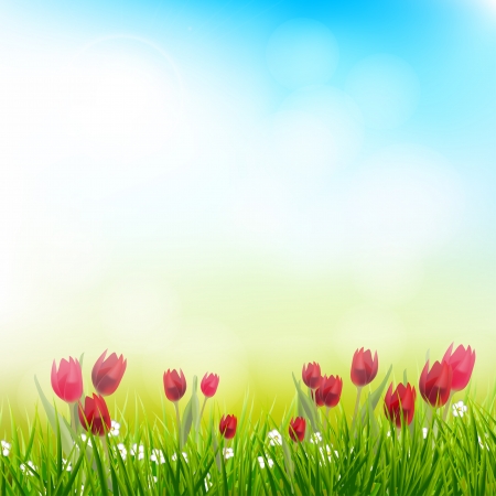 Spring background with tulipsのイラスト素材