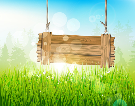 Spring morning - background with empty wooden sign

のイラスト素材