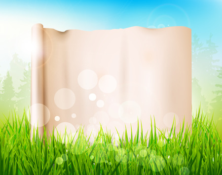 Spring meadow with tall grass and empty paper のイラスト素材