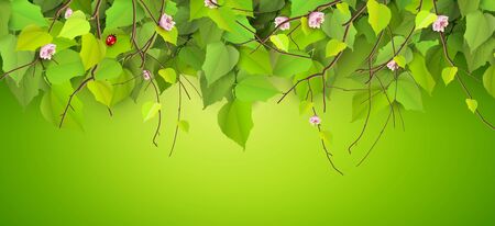 Spring border with branches and leaves on green backgroundのイラスト素材