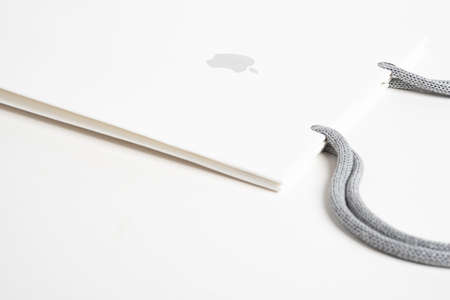 Vidalia, Georgia, USA / June 29, 2019: A close-up product studio shot of Apple retail storeâs medium size white paper bag set on white background.のeditorial素材