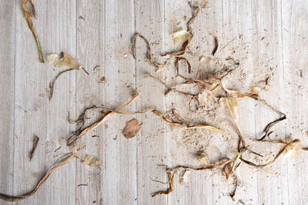 An artfully arranged generic flat background texture wood panel layout with a mix of sand and organic matter in natural earthy hues and tones.の写真素材