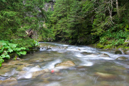 Mountain streamの写真素材