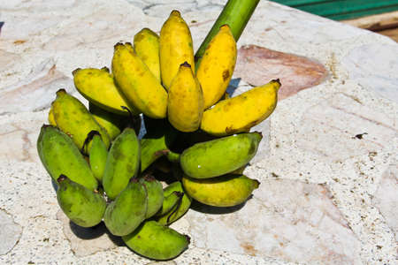 Banana comb.の写真素材