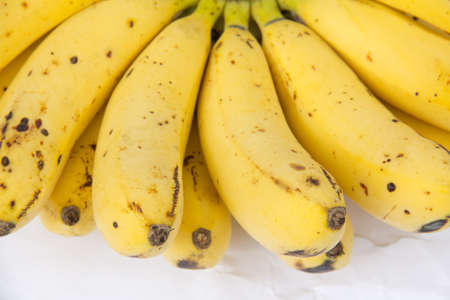 Bunch of bananas, isolated on a white backgroundの写真素材
