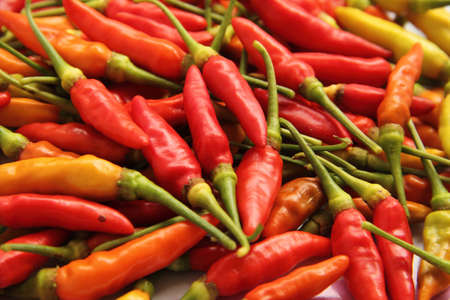 chilli red peppersの写真素材