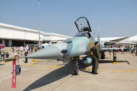 BANGKOK - JANUARY 14 : F-5E ADF on display at Don Muang Airshow, January 14, 2012, Don Muang Airport, Bangkok, Thailand.のeditorial素材