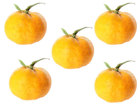 Isolated orange fruits and slices の写真素材