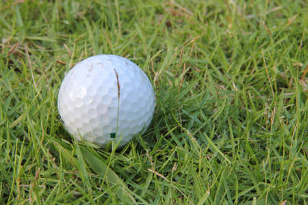 Golf ball on green grass の写真素材