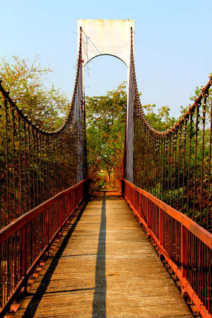 Bridge to the jungle,Thailandの写真素材