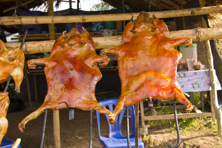Barbecued suckling pigの写真素材