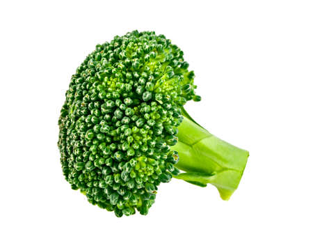 Fresh broccoli isolated on white backgroundの写真素材