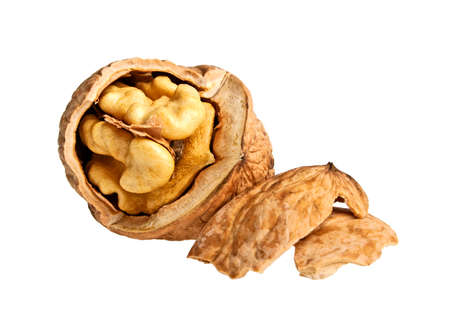 Dried walnuts isolated on white backgroundの写真素材