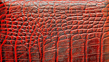 Red alligator patterned backgroundの写真素材