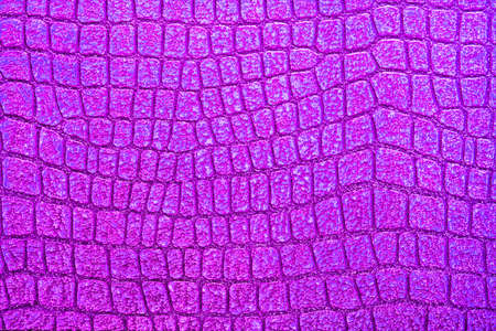 Alligator patterned background