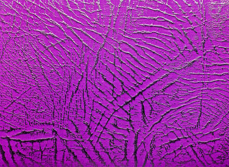 Purple leather labelの写真素材