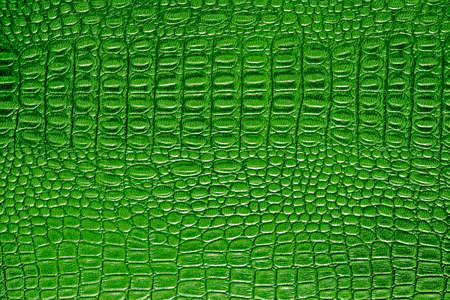 Green alligator patterned backgroundの写真素材