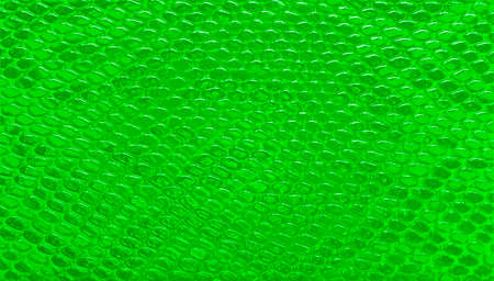 Abstract green snakeskin leather, pattern background