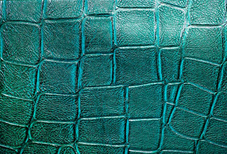 Crocodile leather, can use as background