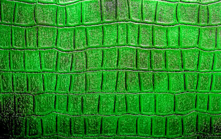 Abstract green alligator patterned background