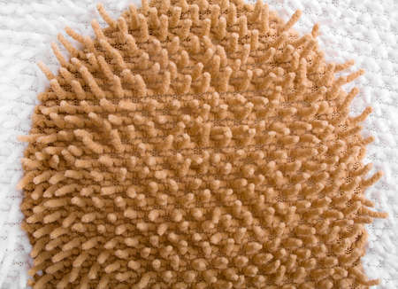 carpet texture macroの写真素材
