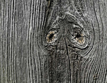 Old grey wood texture, can use as backgroundの写真素材