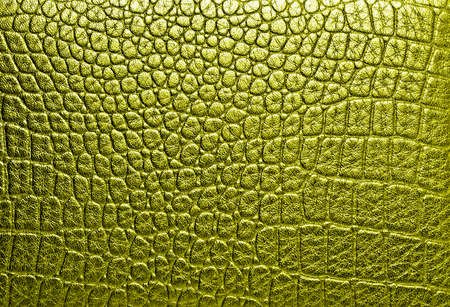Crocodile golden leather, can use as backgroundの写真素材