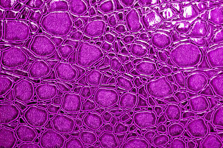 Violet alligator patterned background
