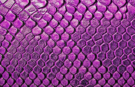 Snake skin